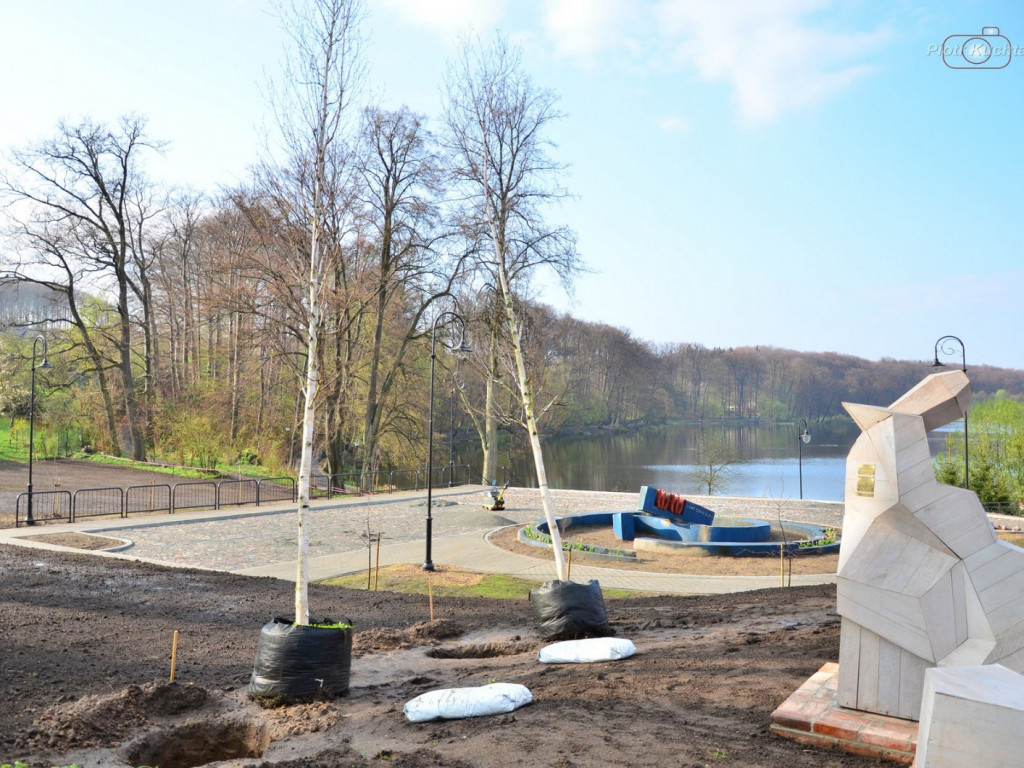 Kartuzy. Mieszkańcy wspólnie posadzili drzewa przy kolegiacie. Wkrótce powstanie tam park