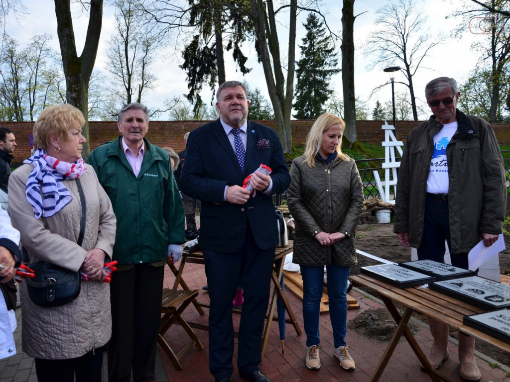 Kartuzy. Mieszkańcy wspólnie posadzili drzewa przy kolegiacie. Wkrótce powstanie tam park