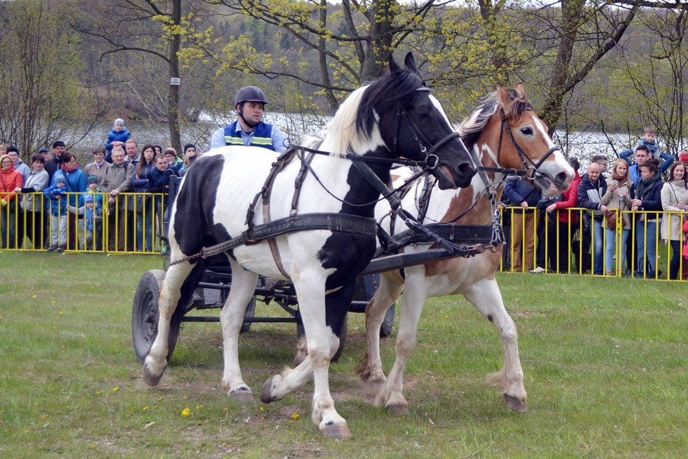 Jak spędzić majówkę w powiecie kartuskim? Sprawdź, co się będzie działo