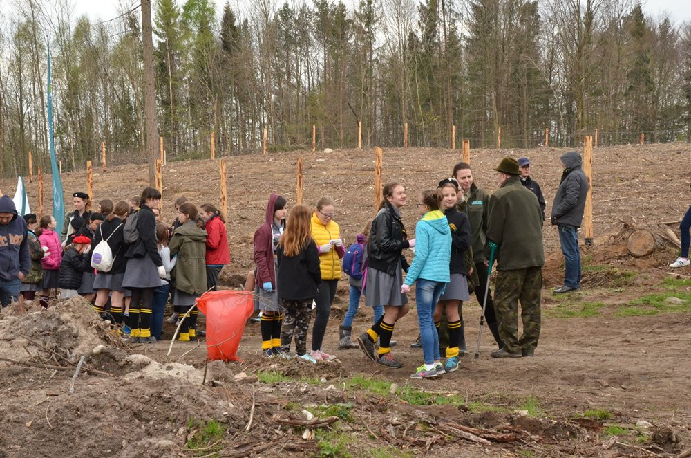W Leśnictwie Kamionka las wraca po nawałnicy. Dziś posadzono prawie 10 tys. drzewek