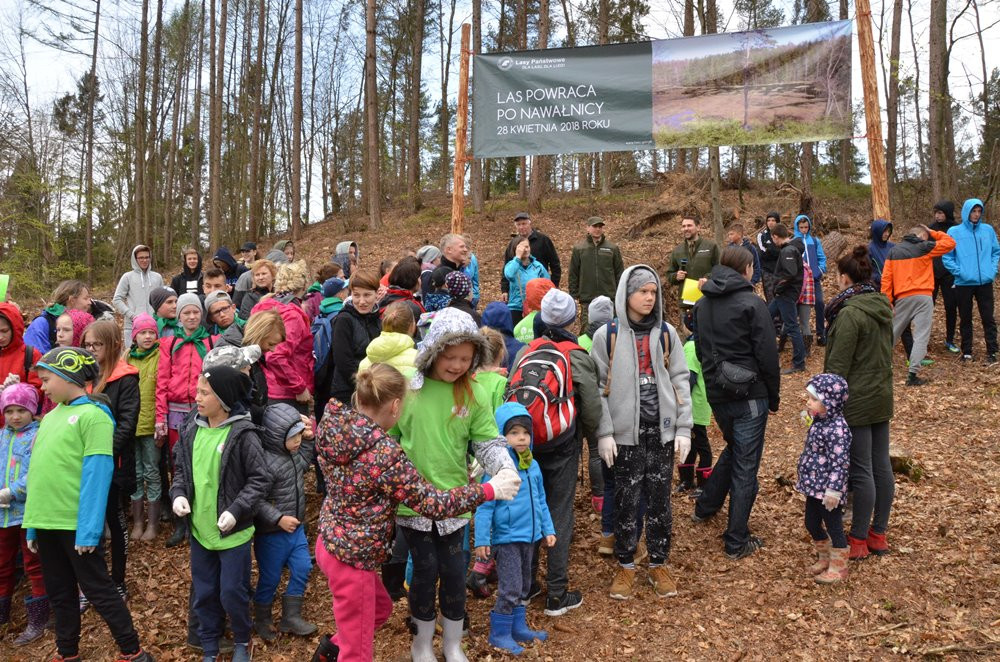 W Leśnictwie Kamionka las wraca po nawałnicy. Dziś posadzono prawie 10 tys. drzewek