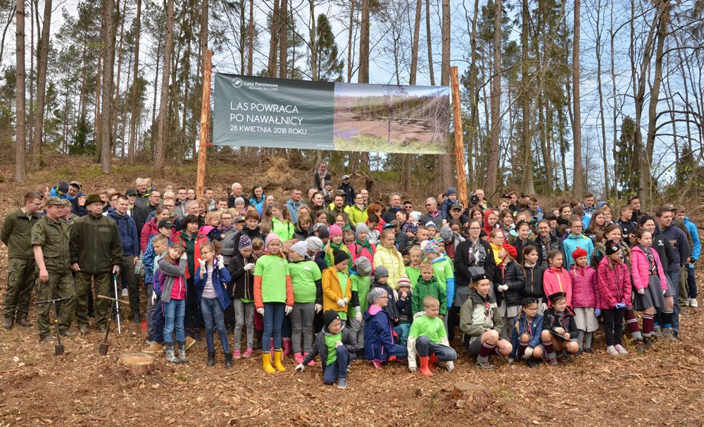 W Leśnictwie Kamionka las wraca po nawałnicy. Dziś posadzono prawie 10 tys. drzewek