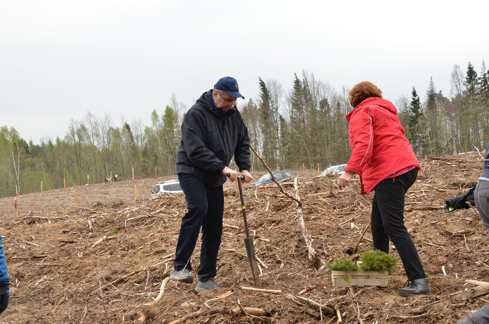 W Leśnictwie Kamionka las wraca po nawałnicy. Dziś posadzono prawie 10 tys. drzewek