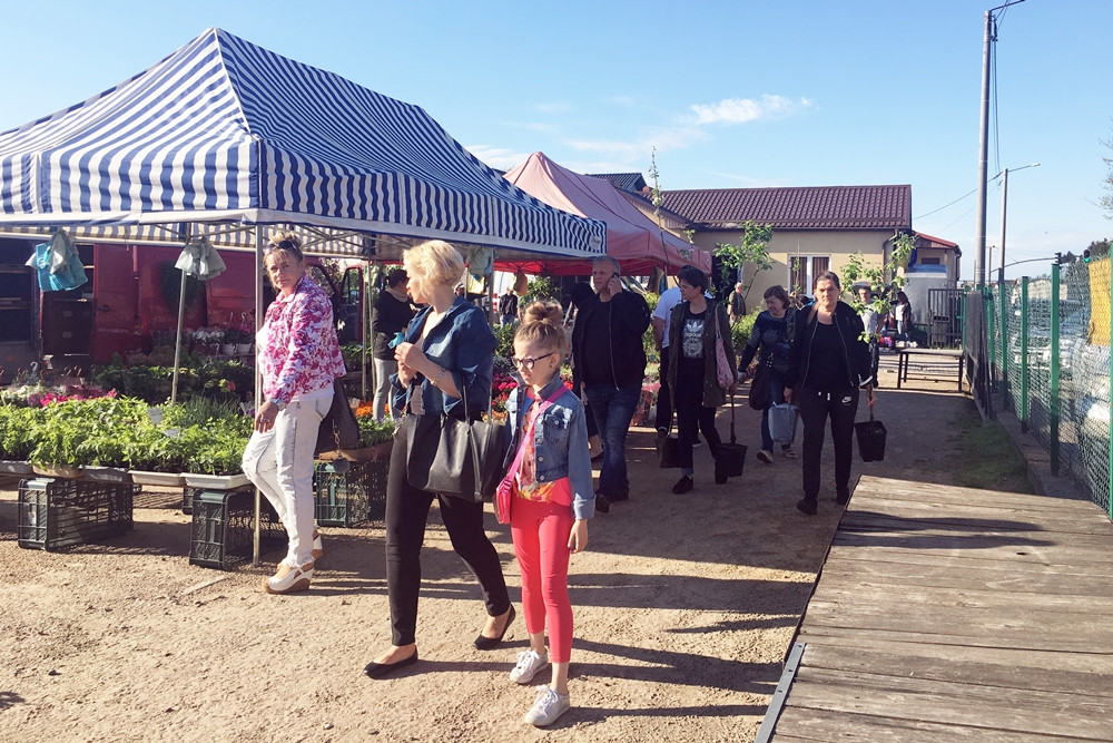 Sierakowice. Święto Kwiatów i Krzewów przyciągnęło miłośników ogrodnictwa