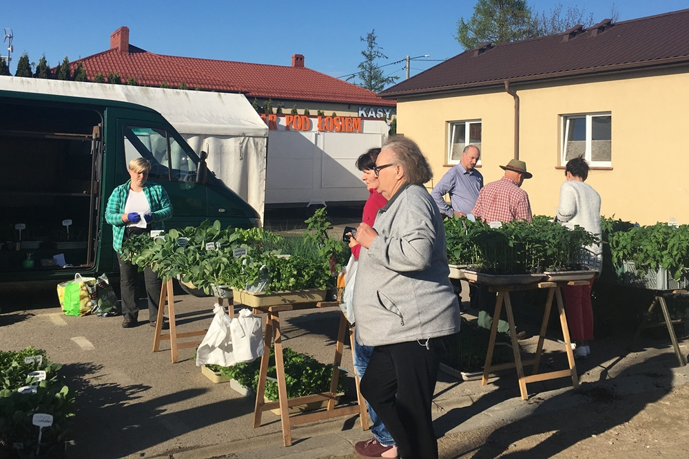 Sierakowice. Święto Kwiatów i Krzewów przyciągnęło miłośników ogrodnictwa