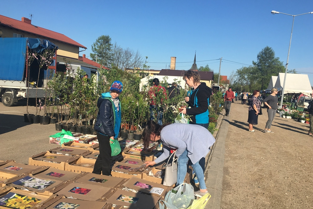 Sierakowice. Święto Kwiatów i Krzewów przyciągnęło miłośników ogrodnictwa