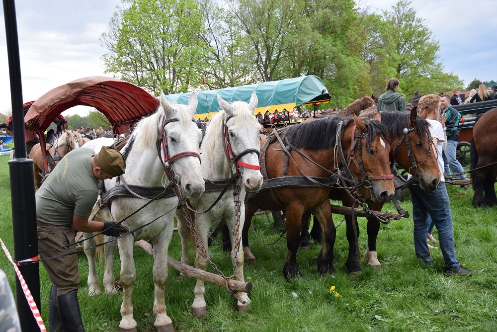 Majówka w Ostrzycach. Kilkanaście ekip rywalizowało w Turnieju Wiśta Wio