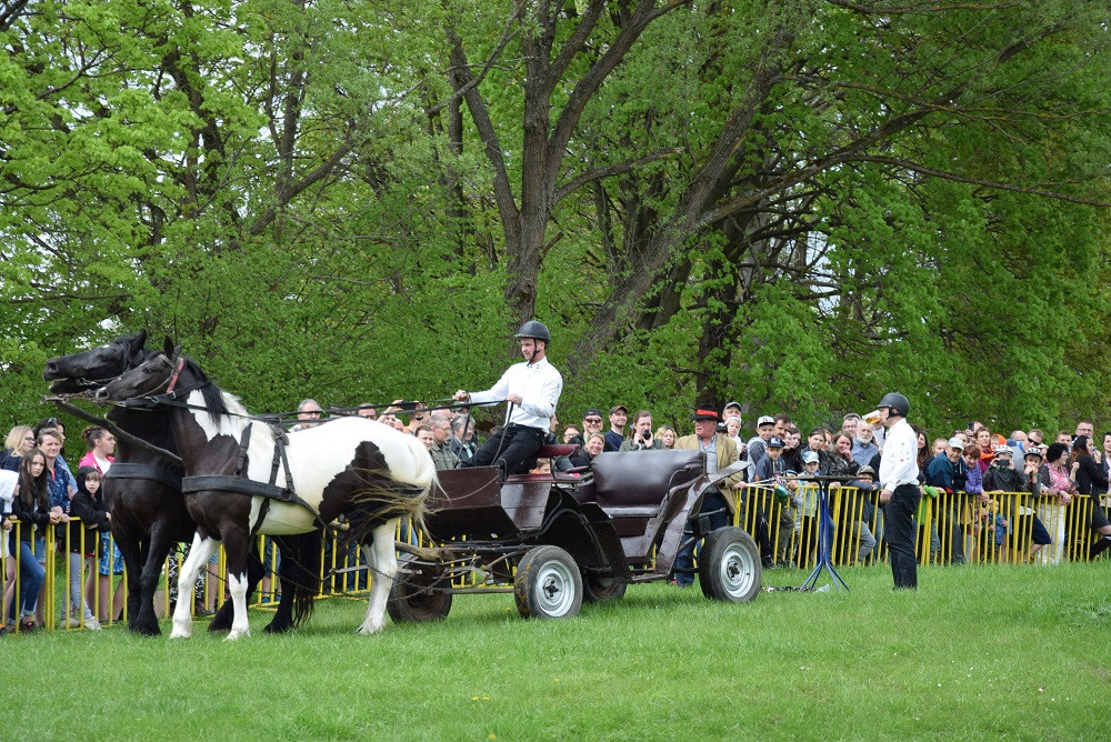 Majówka w Ostrzycach. Kilkanaście ekip rywalizowało w Turnieju Wiśta Wio