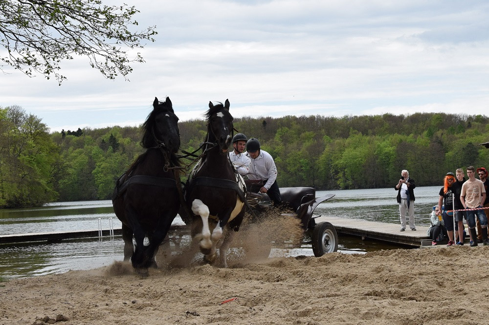 Majówka w Ostrzycach. Kilkanaście ekip rywalizowało w Turnieju Wiśta Wio