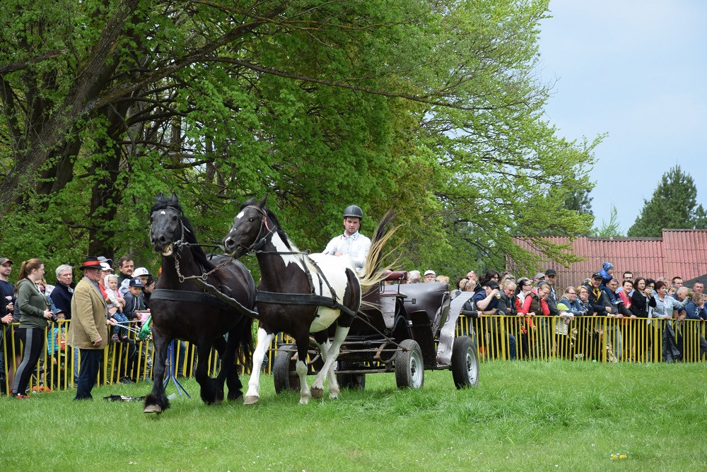 Majówka w Ostrzycach. Kilkanaście ekip rywalizowało w Turnieju Wiśta Wio