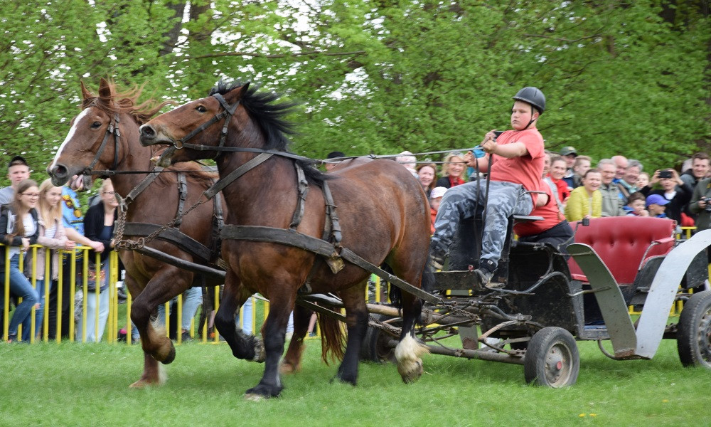Majówka w Ostrzycach. Kilkanaście ekip rywalizowało w Turnieju Wiśta Wio