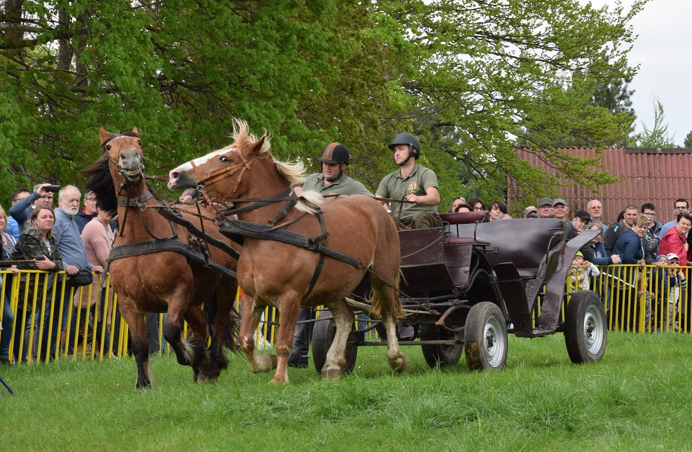 Majówka w Ostrzycach. Kilkanaście ekip rywalizowało w Turnieju Wiśta Wio