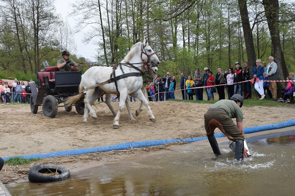 Majówka w Ostrzycach. Kilkanaście ekip rywalizowało w Turnieju Wiśta Wio