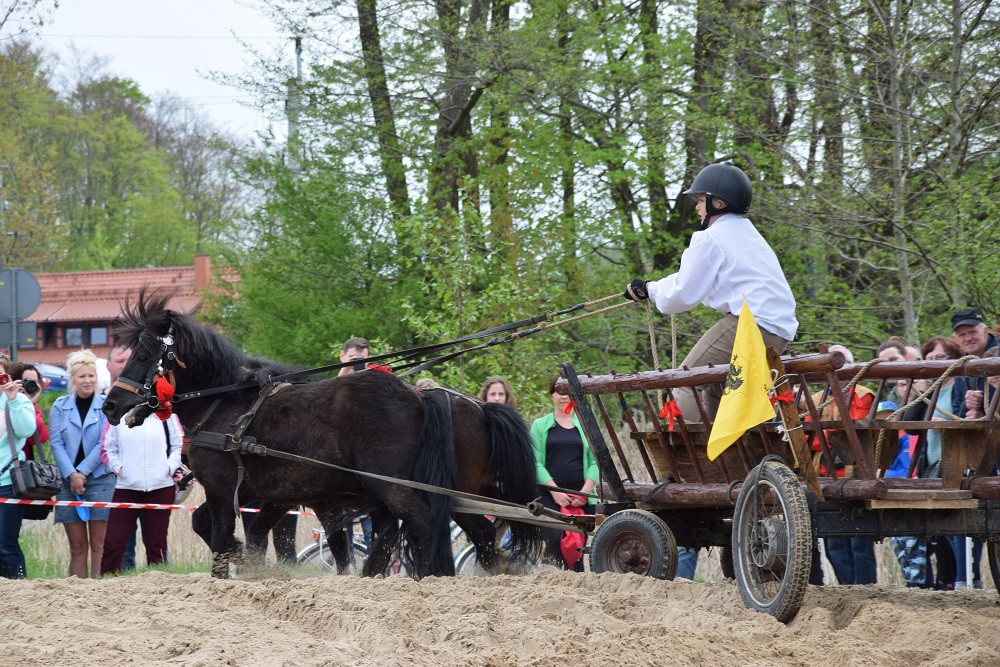 Majówka w Ostrzycach. Kilkanaście ekip rywalizowało w Turnieju Wiśta Wio