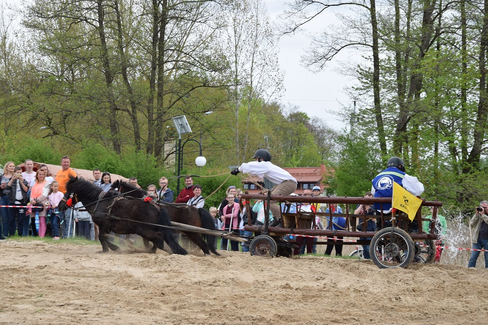 Majówka w Ostrzycach. Kilkanaście ekip rywalizowało w Turnieju Wiśta Wio