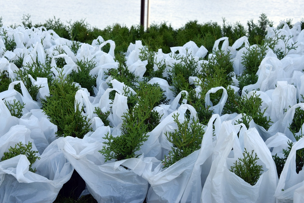 Przodkowo. Dzień Dziecka dla tysiąca maluchów: plac zabaw, gry i ekologiczna edukacja