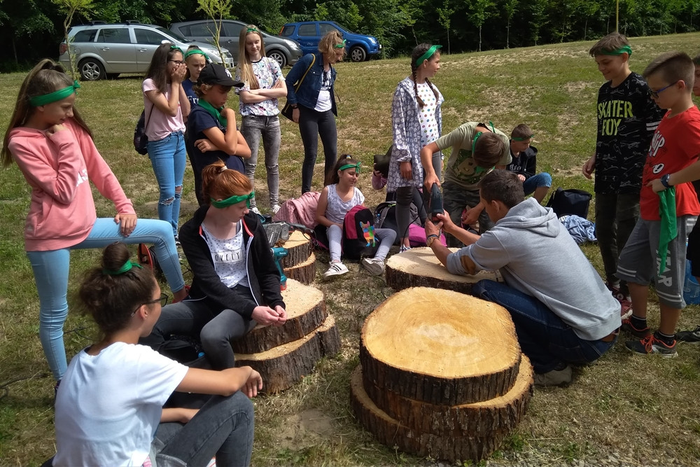 Złota Góra. Domki dla owadów, żaglówki i eksperymenty - piknik dla młodych przyrodników