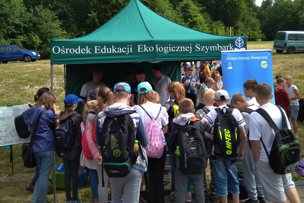 Złota Góra. Domki dla owadów, żaglówki i eksperymenty - piknik dla młodych przyrodników