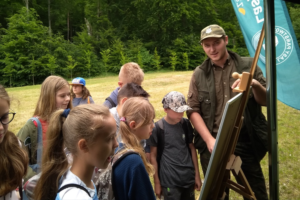 Złota Góra. Domki dla owadów, żaglówki i eksperymenty - piknik dla młodych przyrodników