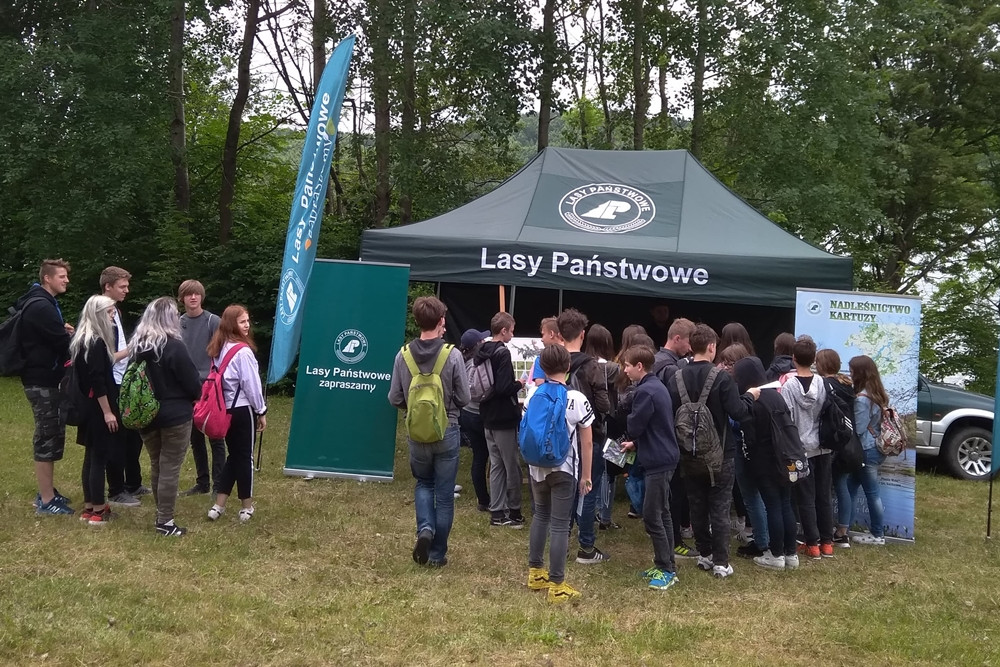 Złota Góra. Domki dla owadów, żaglówki i eksperymenty - piknik dla młodych przyrodników