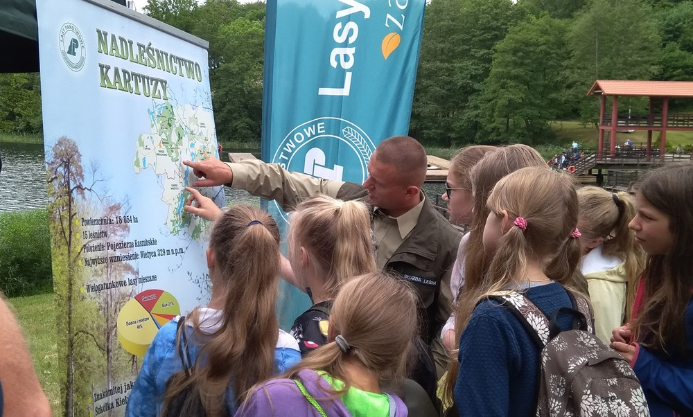 Złota Góra. Domki dla owadów, żaglówki i eksperymenty - piknik dla młodych przyrodników