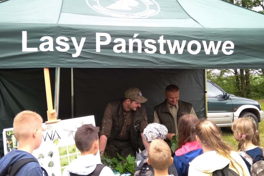 Złota Góra. Domki dla owadów, żaglówki i eksperymenty - piknik dla młodych przyrodników