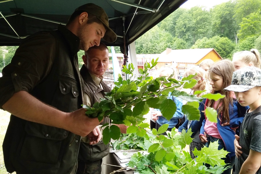 Złota Góra. Domki dla owadów, żaglówki i eksperymenty - piknik dla młodych przyrodników