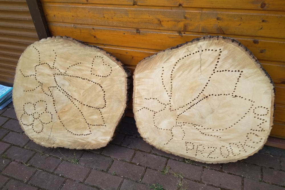 Złota Góra. Domki dla owadów, żaglówki i eksperymenty - piknik dla młodych przyrodników