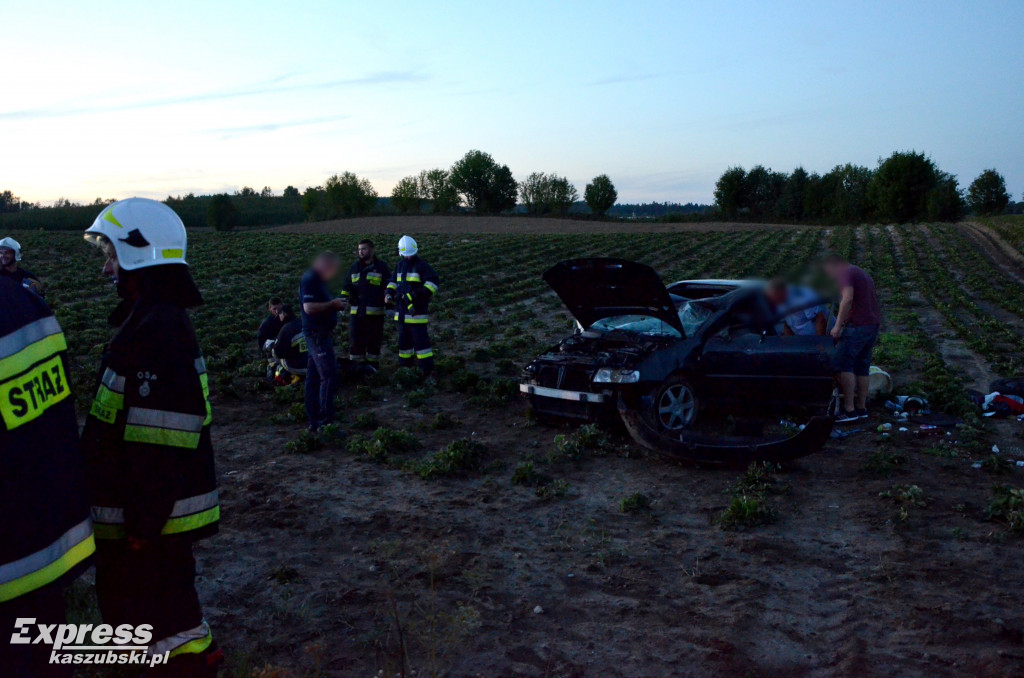 Wypadek w Lisich Jamach