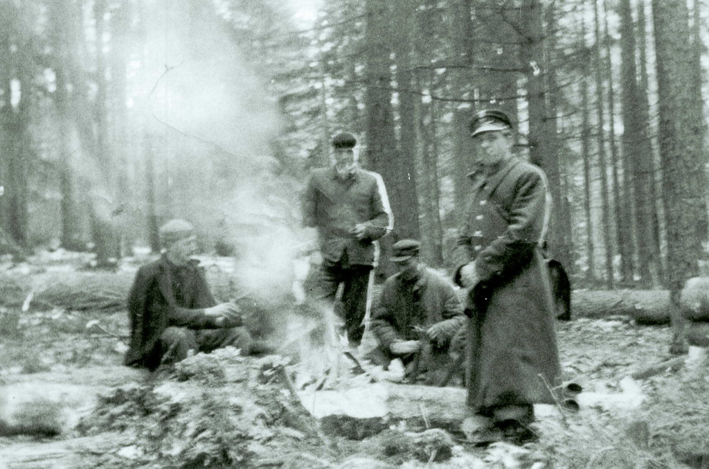 Nadleśnictwo Kartuzy po wojnie