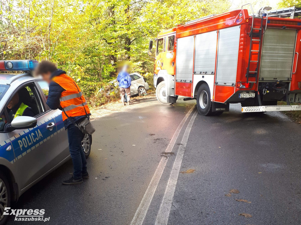 Dachowanie na trasie Egiertowo - Somonino