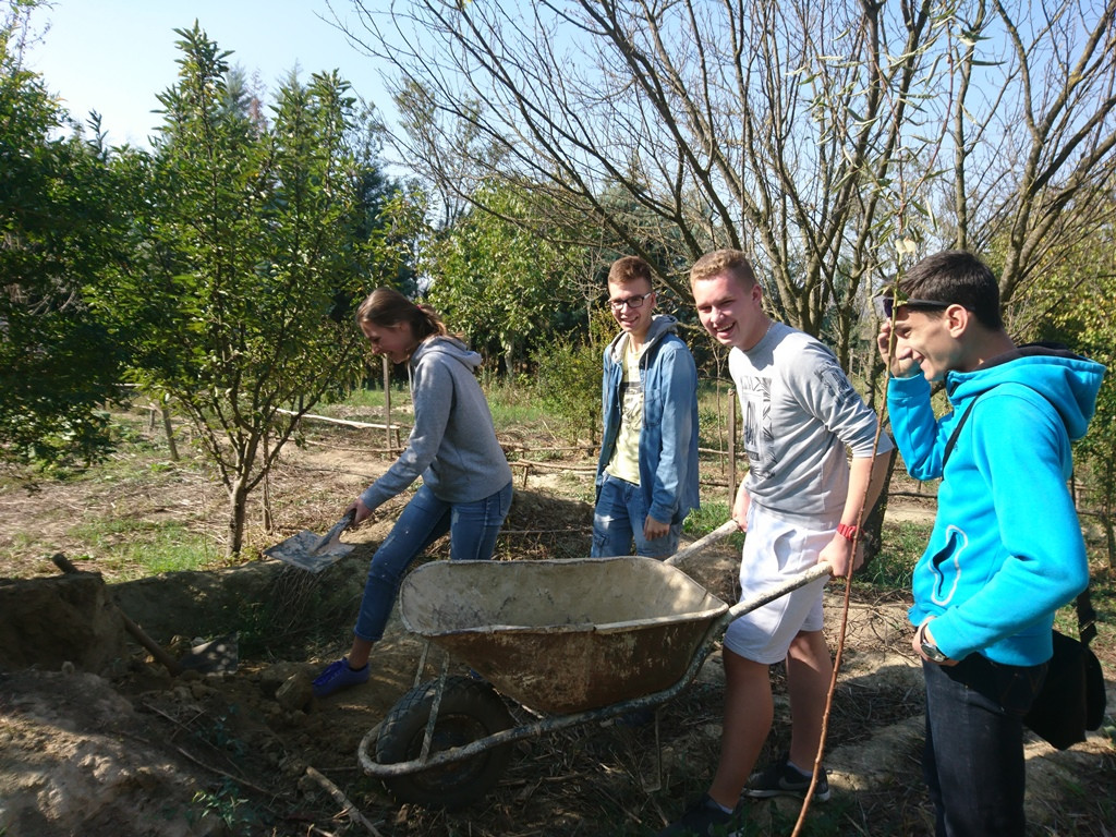 Szkolenie w Grecji w ramach programu Erasmus+