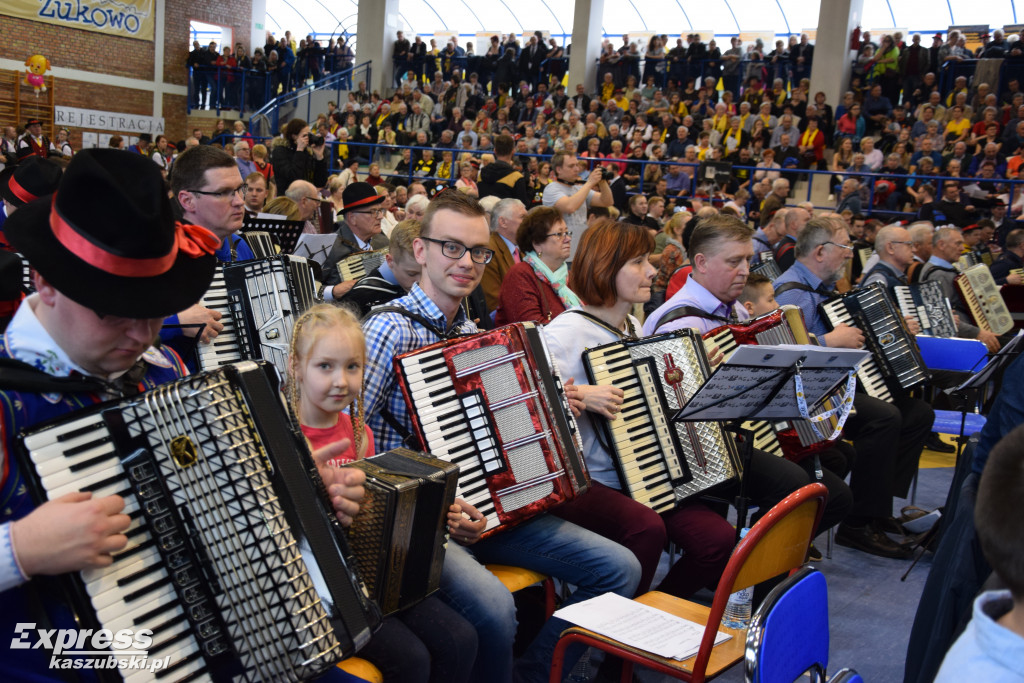 Akordeoniści w Żukowie