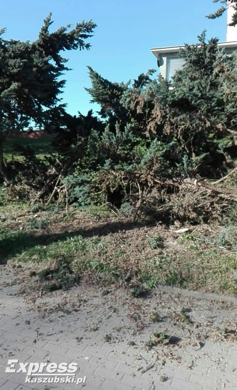 Przygotowania do renowacji pomnika A. Majkowskiego