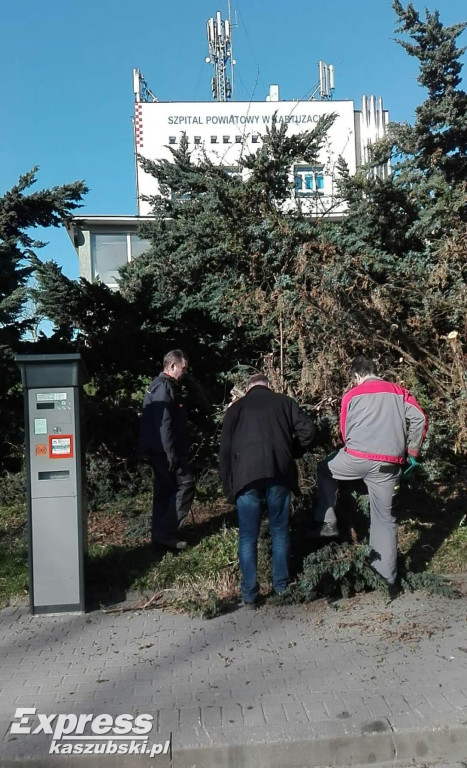 Przygotowania do renowacji pomnika A. Majkowskiego