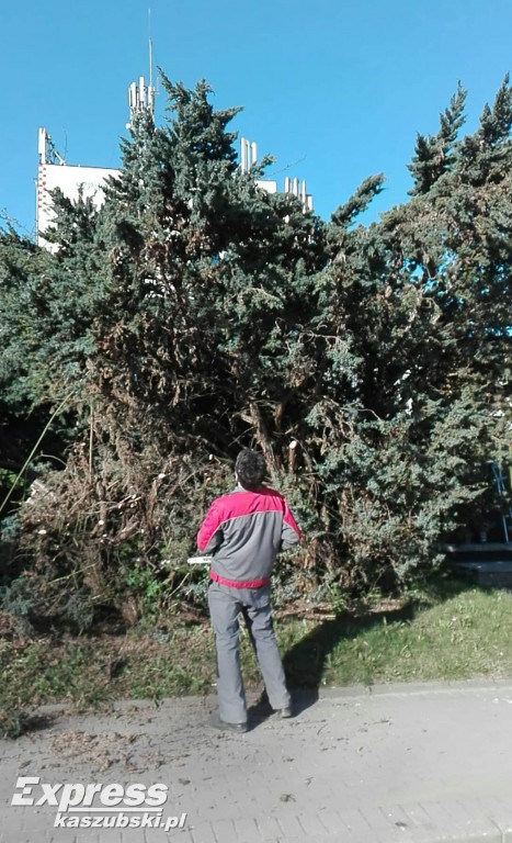Przygotowania do renowacji pomnika A. Majkowskiego