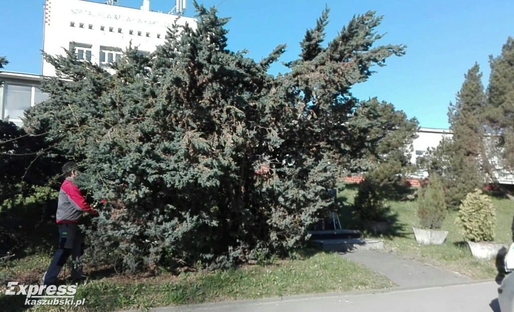 Przygotowania do renowacji pomnika A. Majkowskiego
