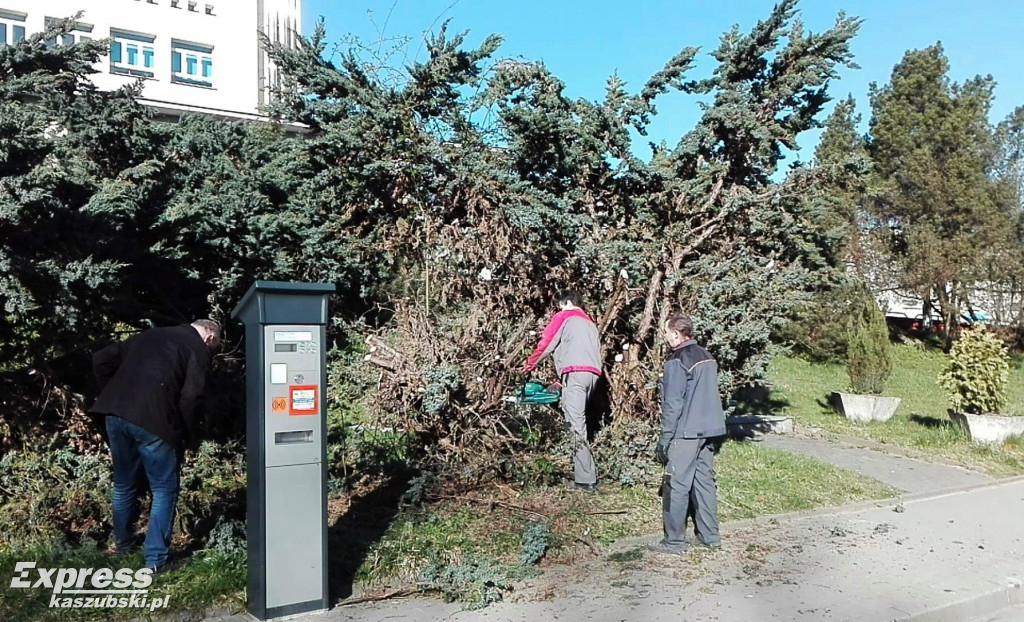 Przygotowania do renowacji pomnika A. Majkowskiego