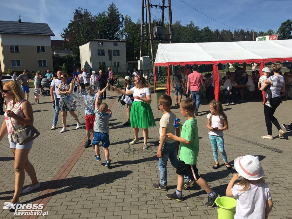 Piknik w Puzdrowie