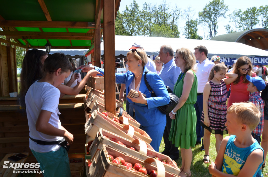Festiwal Truskawki Kaszubskiej w Chmielnie