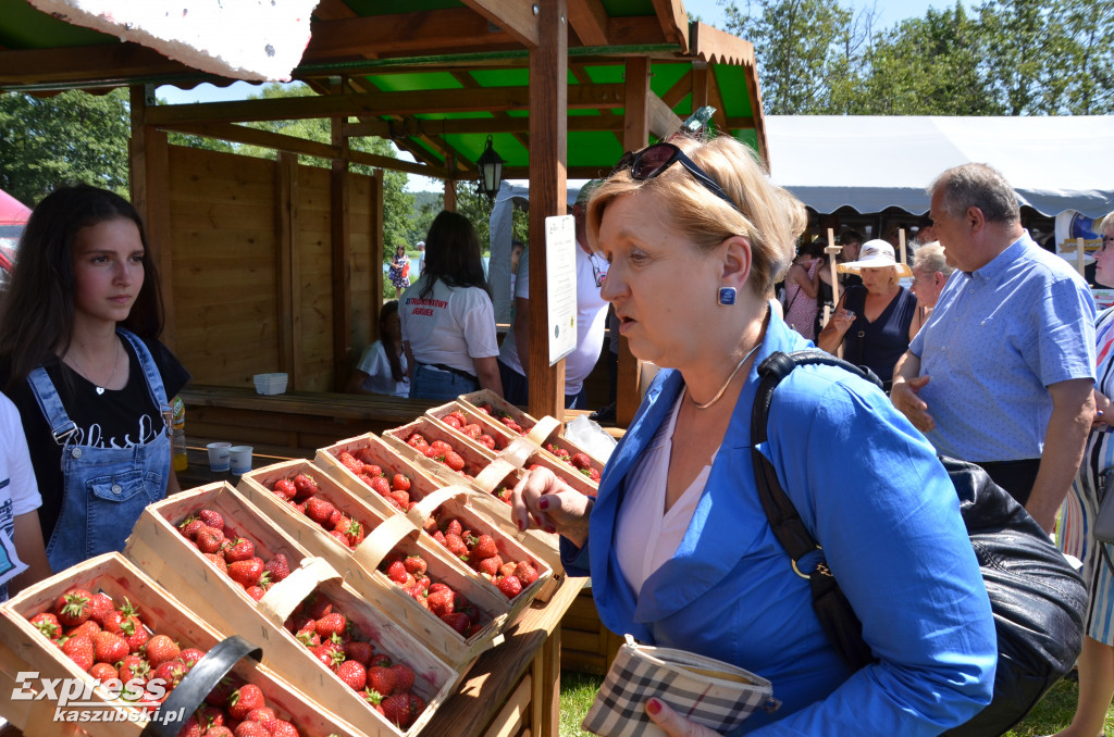 Festiwal Truskawki Kaszubskiej w Chmielnie