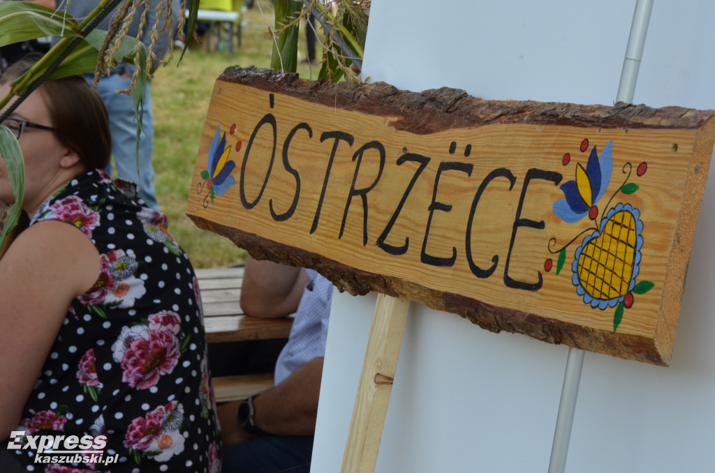 Dożynki w Borczu