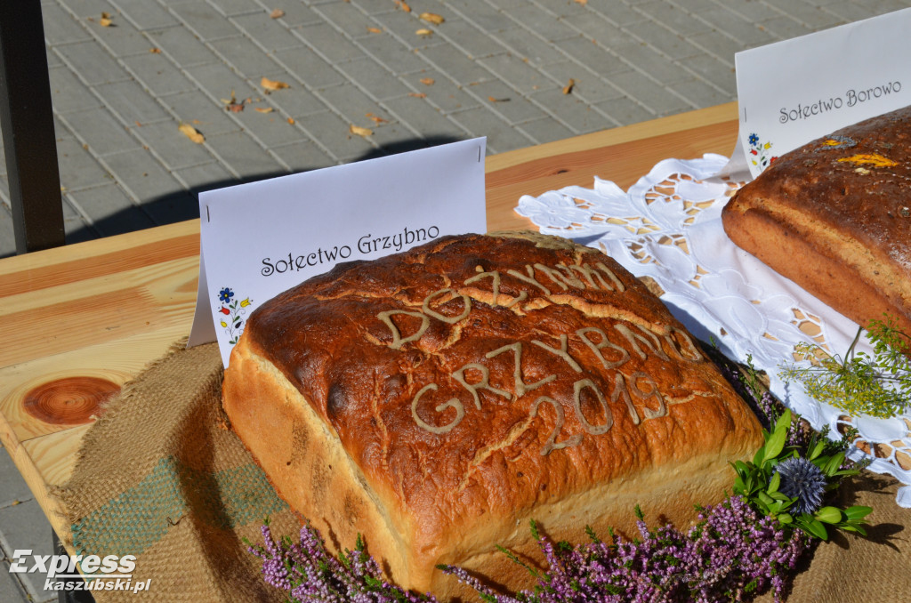 Dożynki 2019 w Kartuzach