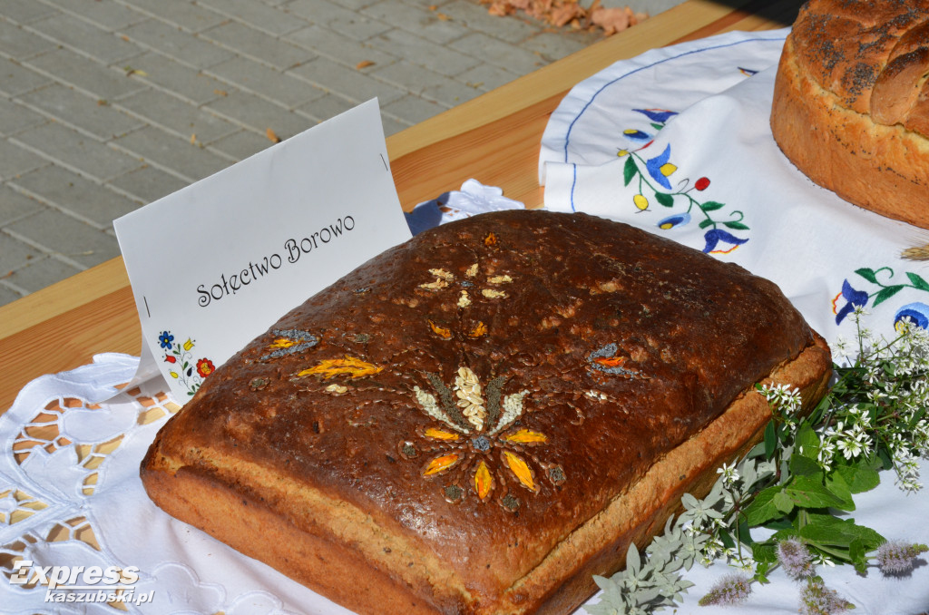 Dożynki 2019 w Kartuzach
