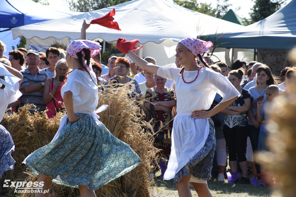 Dożynki 2019 w Sierakowicach