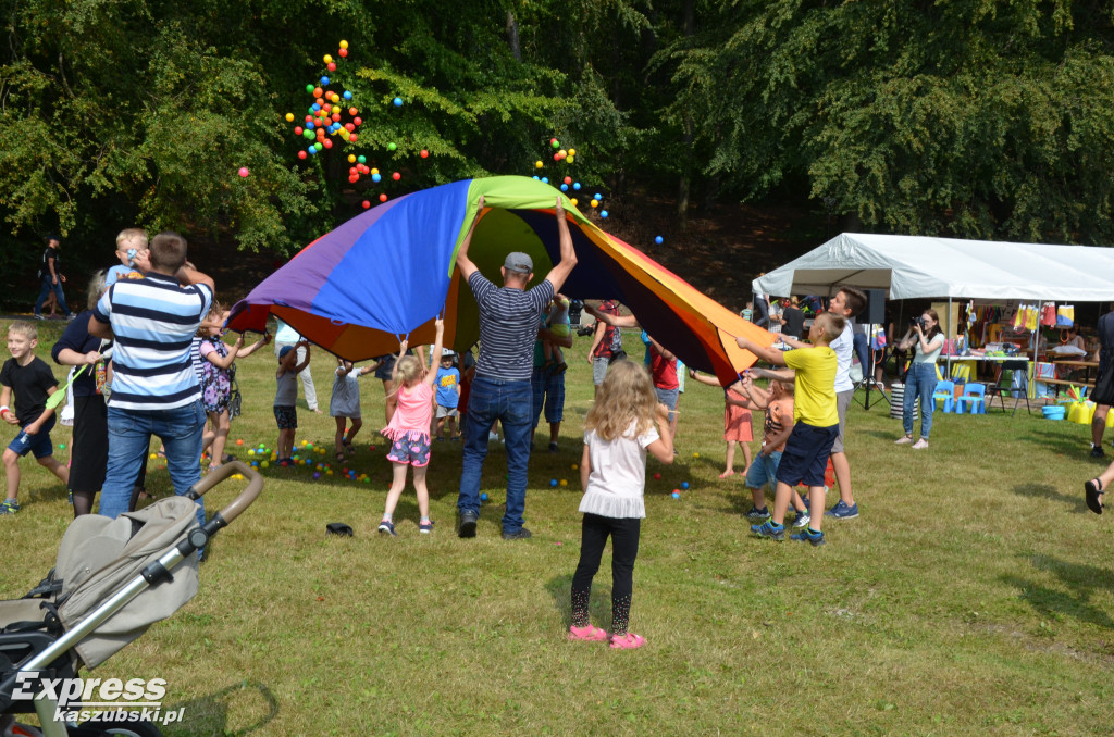 Piknik na Wyspie Łabędziej