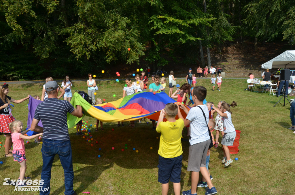 Piknik na Wyspie Łabędziej