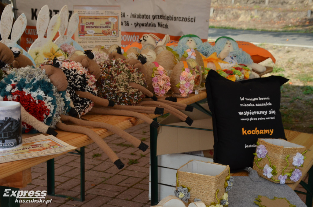 Piknik na Wyspie Łabędziej
