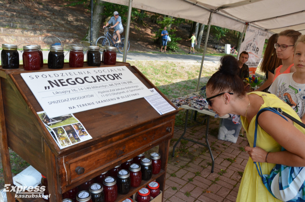 Piknik na Wyspie Łabędziej