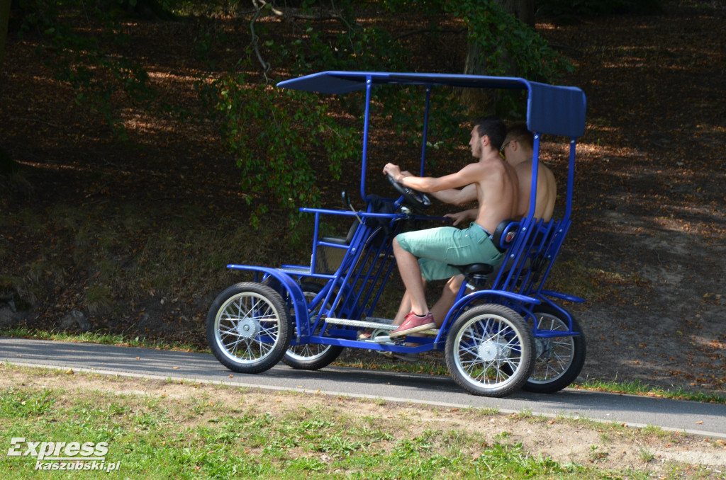 Piknik na Wyspie Łabędziej